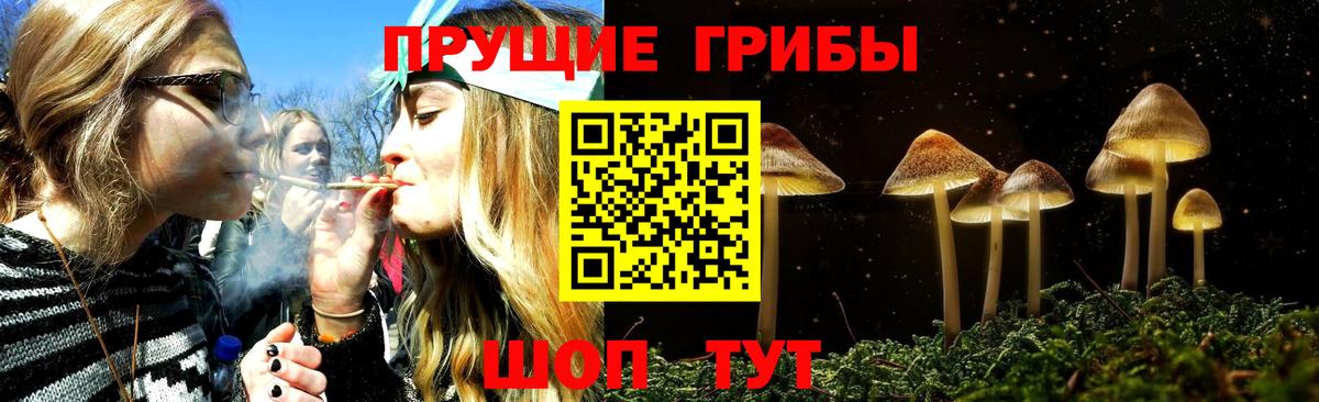 Кострома  наркотики  Вход с VPN  Галлюциногенные грибы Cubensis 